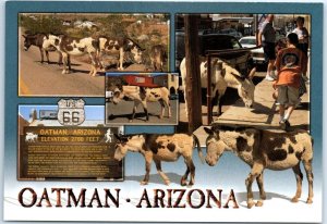 Postcard - Oatman, Arizona