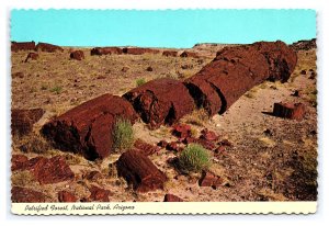 Petrified Forest Nat'l Park Arizona Postcard Continental View Card Fallen Giant