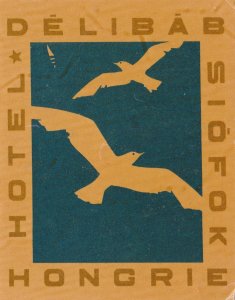 Hungary Siofok Hotel Delibab Vintage Luggage Label sk3805