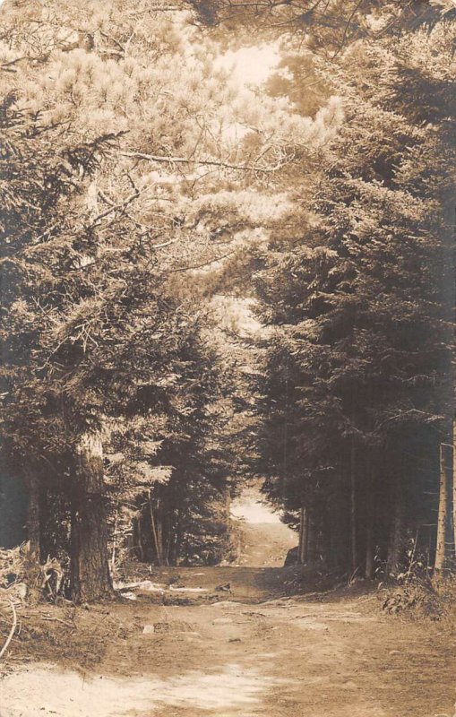 Isle of Springs Maine Road Through Trees Scenic View Real Photo Postcard AA50146