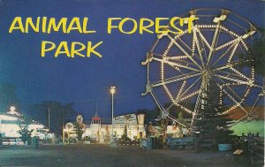 York Beach ME, AMUSEMENT PARK, Animal Forest Park, Ferris Wheel, Night View