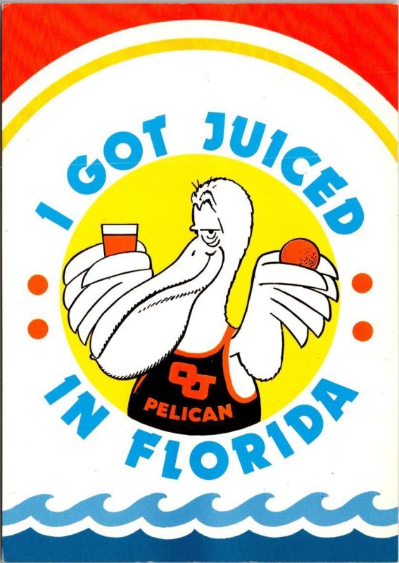 Florida Pelican I Got Juiced In Florida