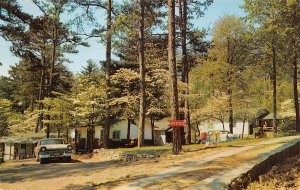 Asheville, North Carolina , The Pines, Vintage Postcard AA357-14