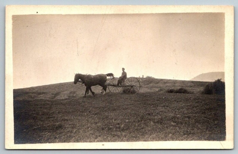 RPPC  Farmer Threshing Field With Horse Team  Real Photo  Postcard  c1910