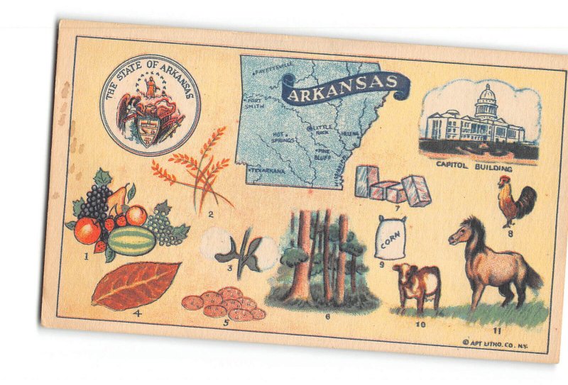 Arkansas Main Products and Industries Advertisement Vintage Postcard