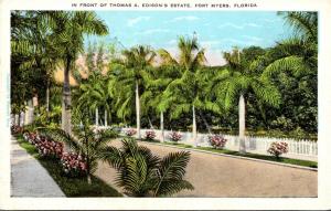 Florida Fort Myers Scene In Front Of Thomas A Edison's Estate