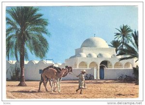 Man Pulling Three Camels, The Mosquee Of Mahboubine, Djerba, Tunisia, 1950-1970s