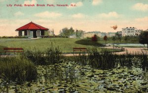 Vintage Postcard Lily Pond Branch Brook Park Scenic View Newark New Jersey NJ