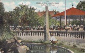 Texas El Paso Feeding The Alligators 1910