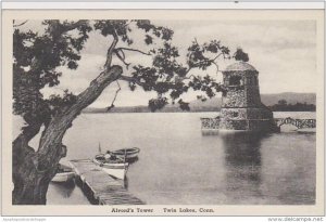 Connecticut Twin Lake Alvords Tower Albertype
