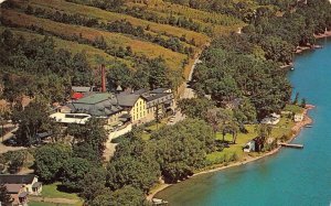 HAMMONSPORT, New York NY   GOLD SEAL WINERY~KEUKA LAKE Bird's Eye View  Postcard