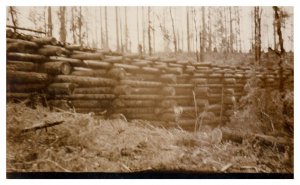 Logs stacked in a field black and white RPPC Postcard