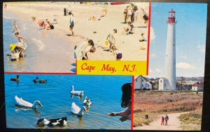 Vintage Postcard 1980's Cape May Diamonds, Ducks, Lighthouse, Cape May, NJ