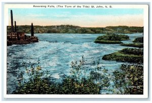 c1920's Reversing Falls (Turn of Tide) St. John NB Canada Unposted Postcard