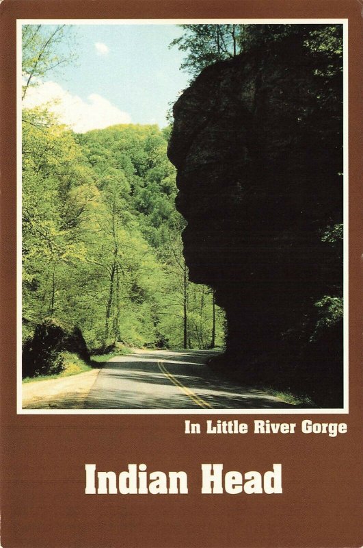 Postcard Head along Little River Tennessee Unposted VPC8.