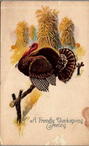 c1910 THANKSGIVING GREETING TURKEY GRAIN PUMPKINS UNPOSTED POSTCARD 36-52