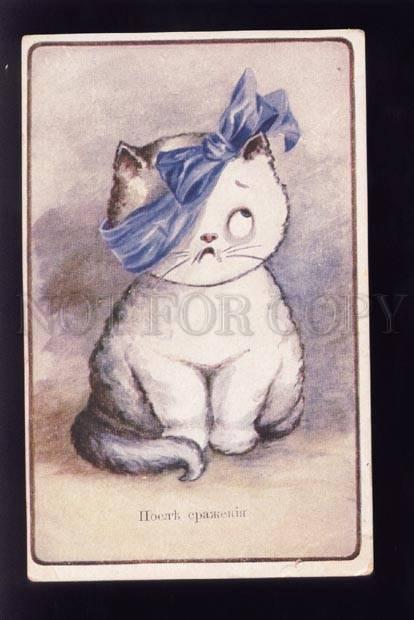 073639 Funny KITTEN w/ Bow After Wrestling UnSign. Vintage PC