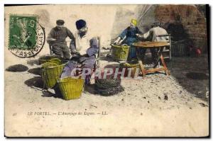 Old Postcard The fishing portel L & # 39amorcage lines