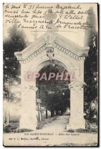 Old Postcard Ile St Honorat Allee des Cypres
