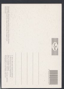 Famous People Postcard - Singer Daniel O'Donnell   T5528