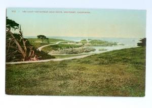 LP56     Monterey, California, CA, 17 mile drive  