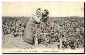 Old Postcard Wine Harvest in the Medoc Distraction pickers TOP