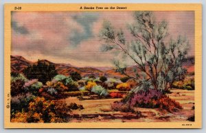Arizona~Desert Smoke Tree~Shrubs~Plants~Scenic Landscape~Linen 1940s Postcard