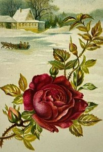 c.1880s Victorian Trade Card Lovely Red Rose Horse Sleigh Winter Scene
