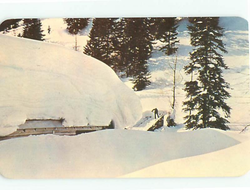 Burke Idaho Wallace Bitter Root Mountains Lookout Pass Snow  Postcard # 8043