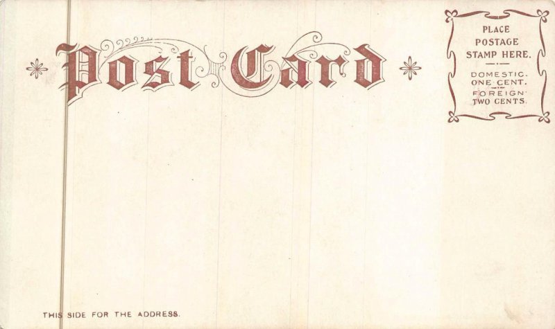 WHITE HOUSE WASHINGTON DC LIVINGSTON POSTCARD (c. 1900)