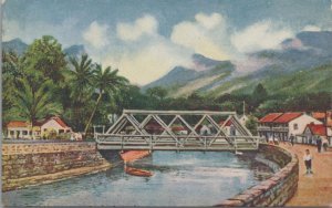 Postcard In the Suburbs Honolulu Oahu Hawaii