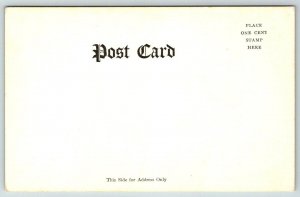 Prospect Point  Niagara Falls  New York   Postcard  c1905