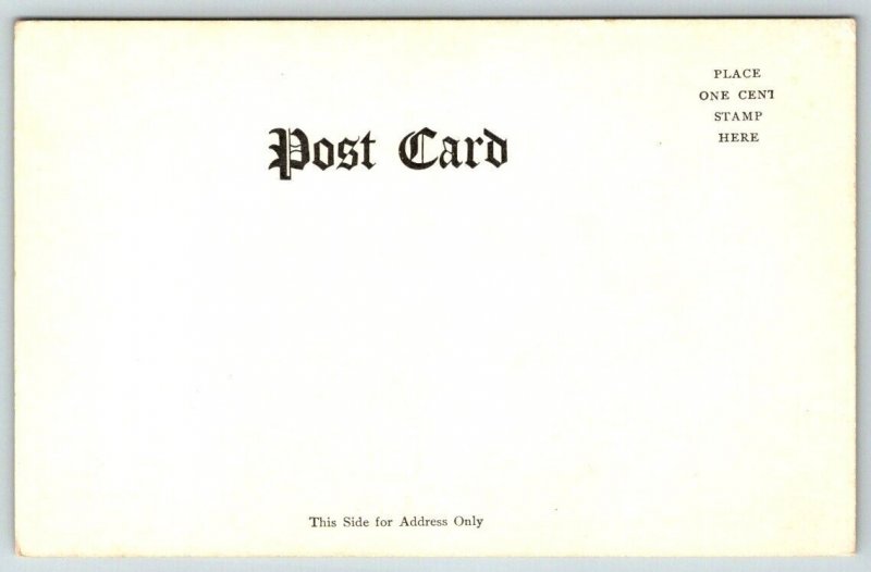 Prospect Point  Niagara Falls  New York   Postcard  c1905