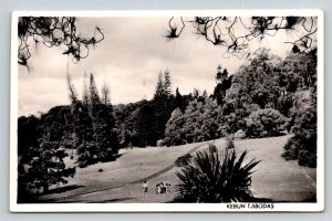 Cibodas Botanical Garden Indonesia Postcard to Hollywood Actress Dorothy Malone