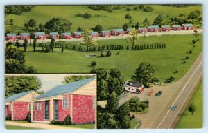 JOHNSON CITY, Tennessee TN~ Roadside Motel BROADWAY TOURIST COURT 1950s Postcard 