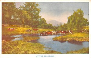 At the Billabong Dairy Cows 1945 