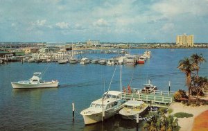 CLEARWATER BEACH, Florida~FL  YACHT BASIN & MARINA  Ships~Docks~Boats  Postcard