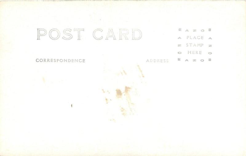 Sun Room~Wicker Ottoman~Planters, Flora Mural~Real Photo Postcard c1909