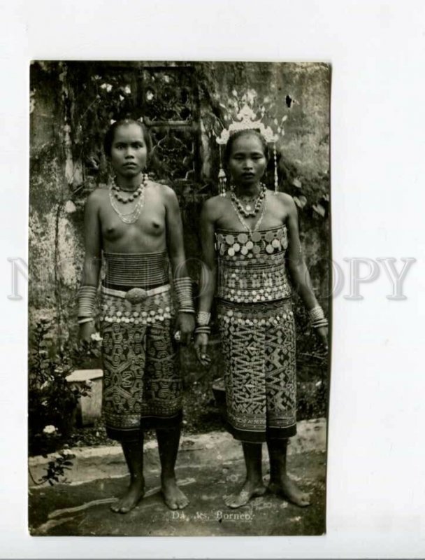 3173808 INDONESIA BORNEO semi-nude girls Vintage photo postcard