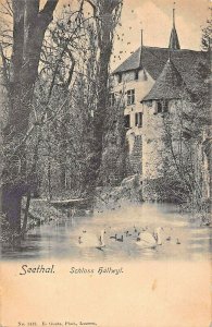 SEETHAL SWITZERLAND~SCHLOSS HALLWYL~1900s E GOETZ PHOTO POSTCARD