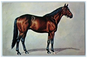 c1950 Nashua Best Race Horses Recent Won 22 Of 30 Lexington Kentucky KY Postcard