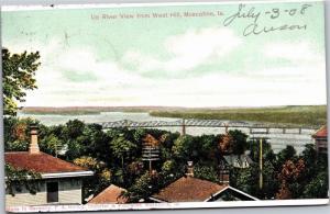 Mississippi River View from West Hill, Muscatine Iowa c1908 Vintage Postcard M07