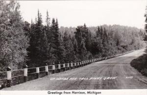 Michigan Greetings From Harrison Country Road Scene Real Photo