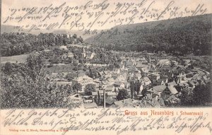 NEUENBURG i SCHWARZWALD GERMANY~TOTALANSICHT~1904 PHOTO POSTCARD