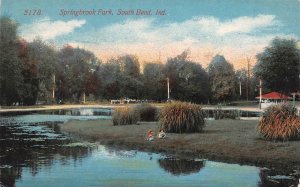 SOUTH BEND, Indiana IN   SPRINGBROOK PARK  Pond~Kids~Pavilion   1912 Postcard