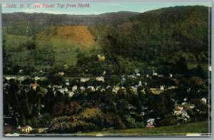 DELHI NY AND ROUND TOP FROM NORTH ANTIQUE POSTCARD