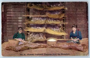 Advertising Postcard Japanese Silk Picking Corticelli Cocoons From The Branches