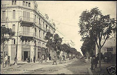 tunisia, TUNIS, Avenue de Carthage (1910s) ND Phot
