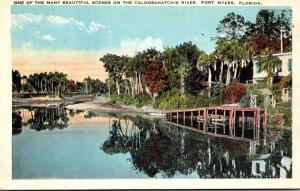 Florida Fort Myers Caloosahatchee River Scene