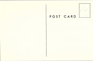 Postcard HOTEL SCENE Cedar Rapids Iowa IA AI8400